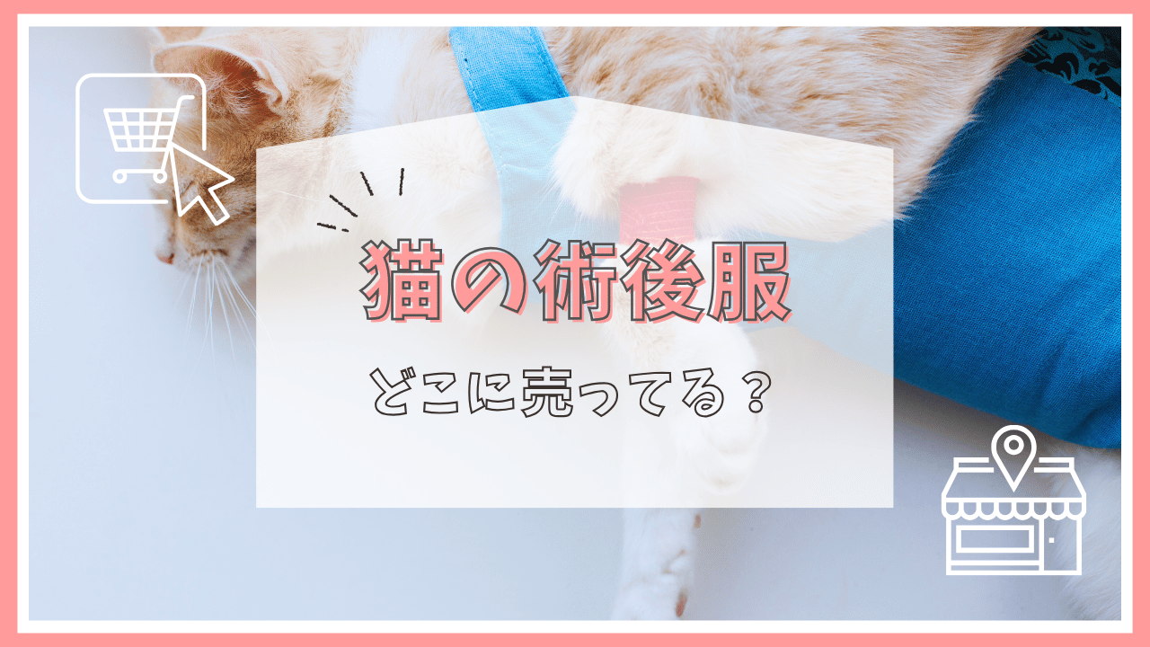 猫の術後服はどこに売ってる？