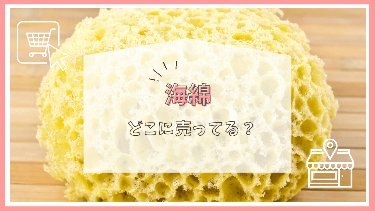 海綿はどこで買える？