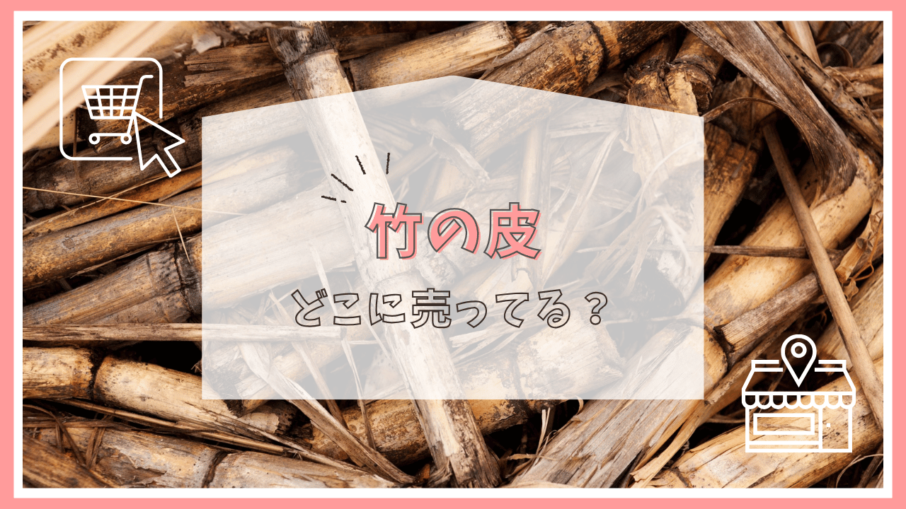 竹の皮はどこで売ってる？
