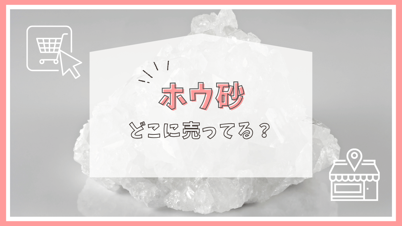 ホウ砂はどこに売ってる？