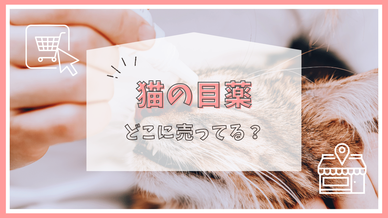 猫の目薬どこで売ってる？