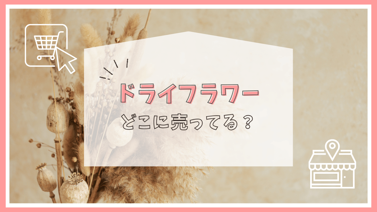 ドライフラワーはどこで売ってる？