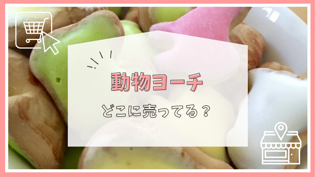 動物ヨーチはどこに売ってる？