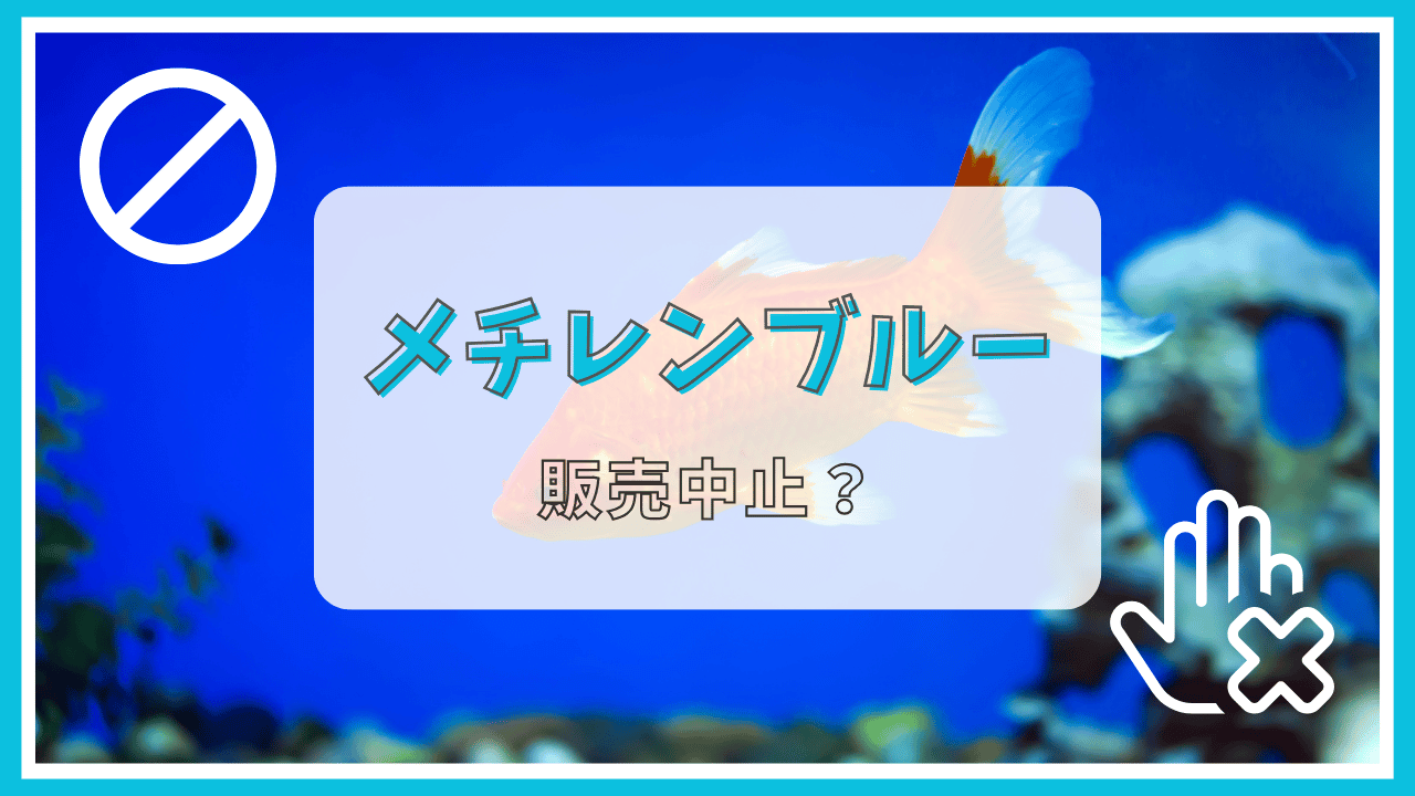メチレンブルーが販売中止って本当？