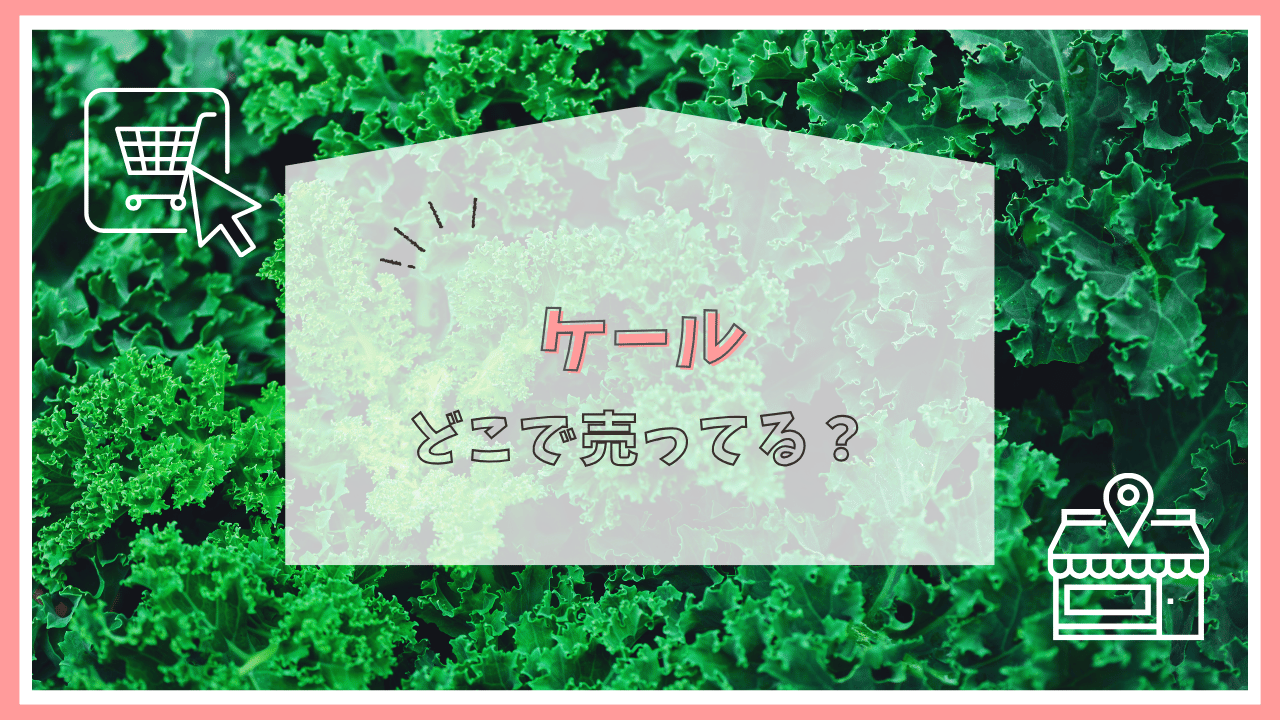 ケールはどこに売ってる？